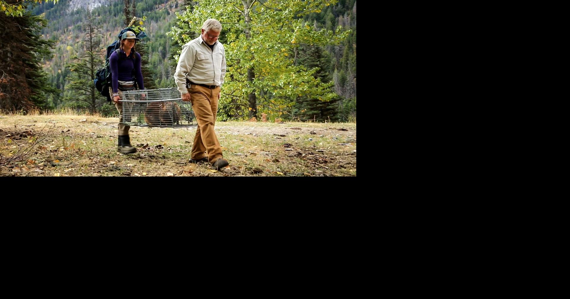 Beaver relocation becomes catalyst for climate change discussion ...