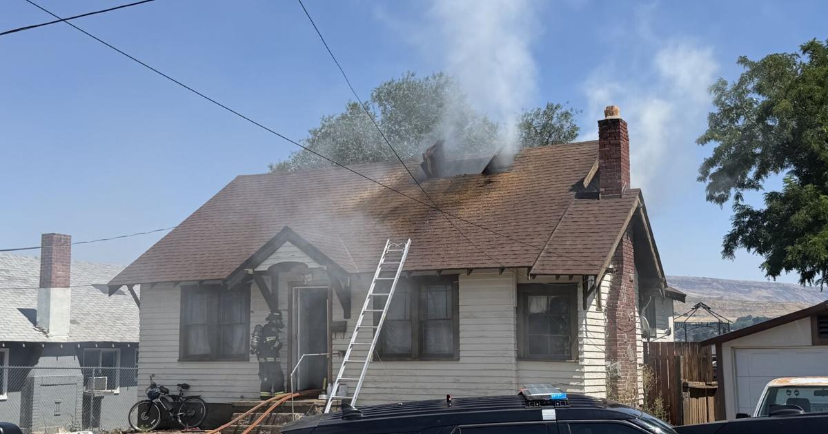 WVFD firefighters rescue 2 dogs from Wenatchee house fire