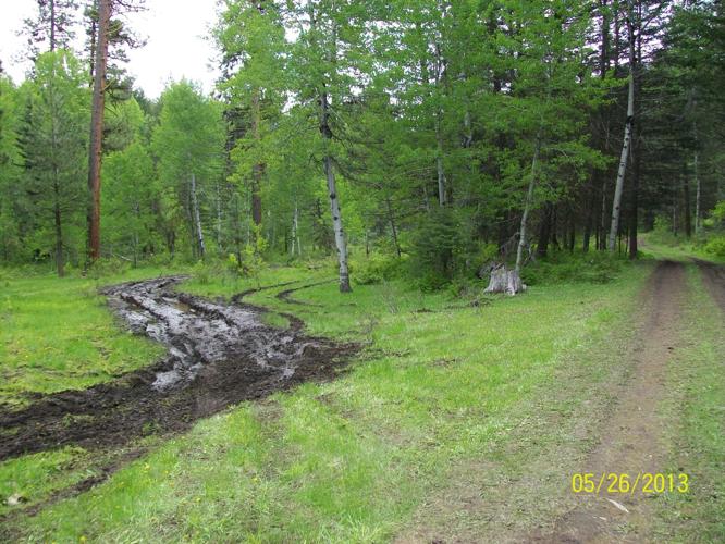Mudding damages meadow near Winthrop Local News