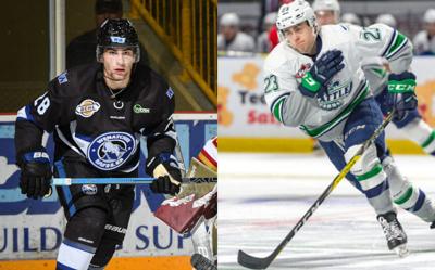 Wild Add New Faces To Roster Sports Wenatcheeworld Com