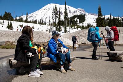 Park service considers timed entry to Mount Rainier National Park