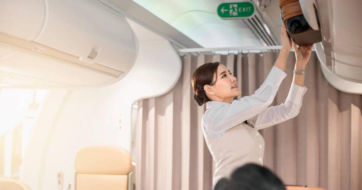 A United flight attendant stirred up controversy by wading into popular debate - Vimarsana News