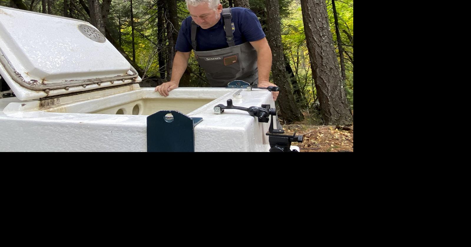 With salmon at risk of extinction, California begins urgent rescue effort