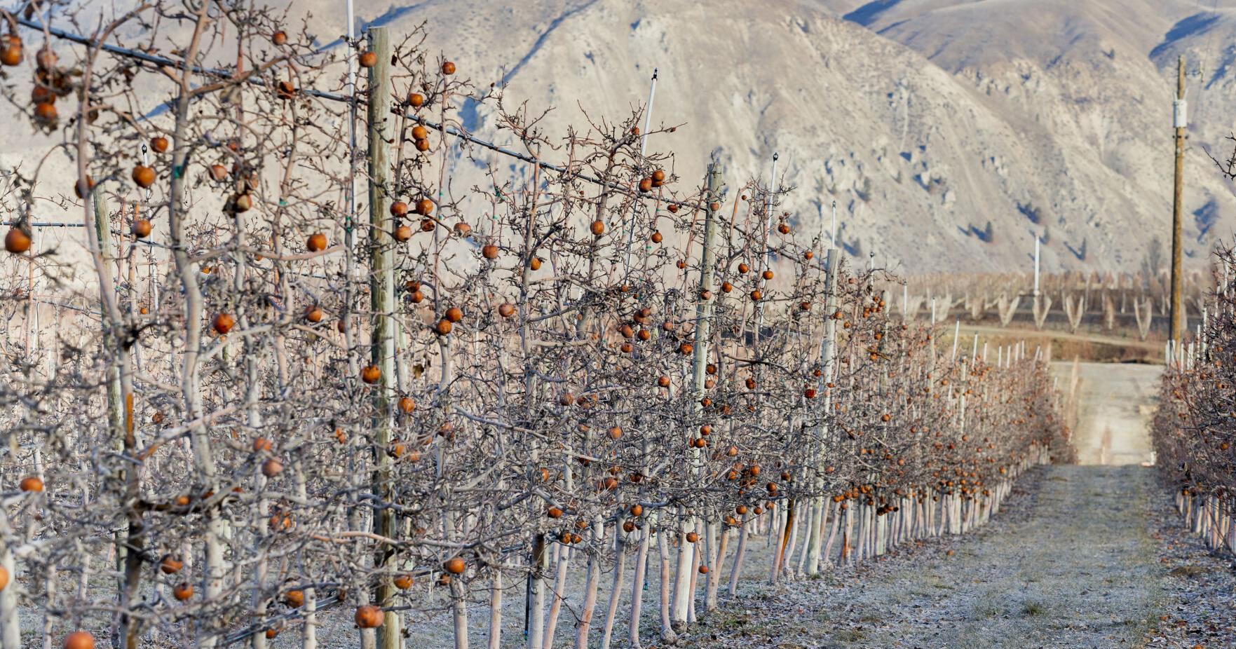 Washington farmers could be reimbursed by state for paying gas fuel surcharge - Vimarsana News