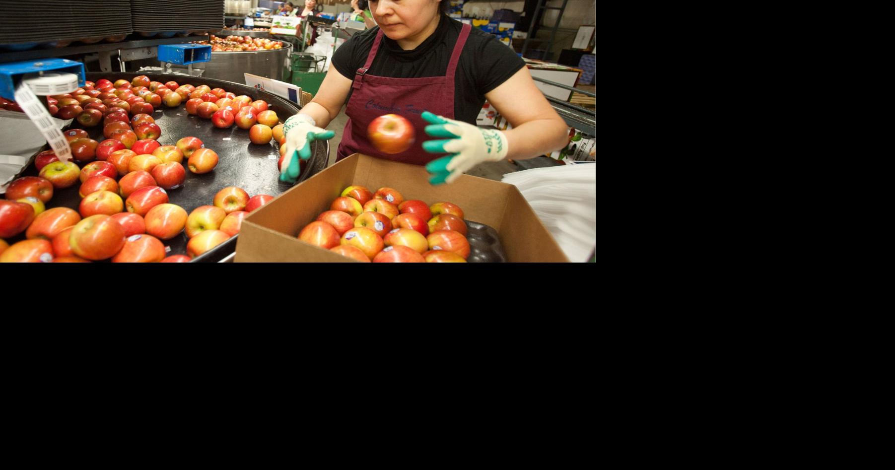 Ag Monthly | New Columbia Fruit Packers to close Yakima plant ...