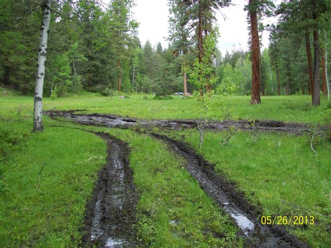 Mudding damages meadow near Winthrop Local News