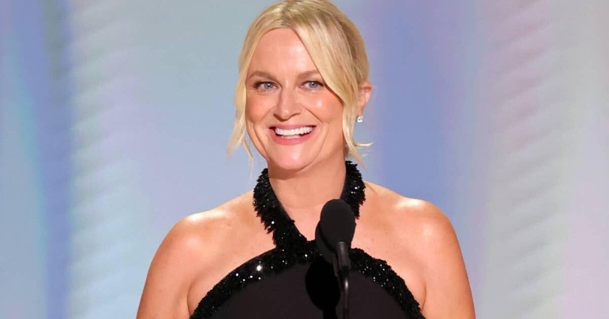 Amy Poehler’s ‘Innovative’ Comedy Is Honored Once Again, This Time by a Luxury Magazine