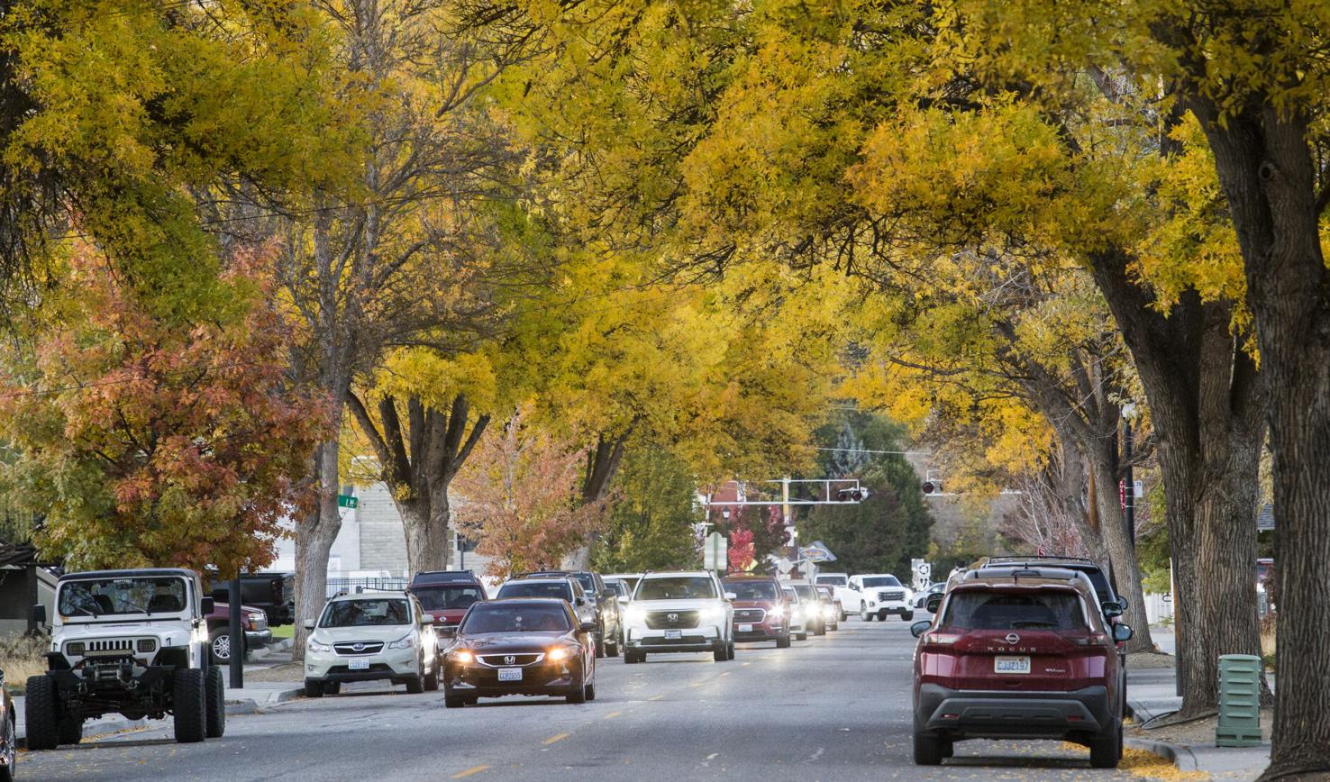 Photo Cashmere fall colors