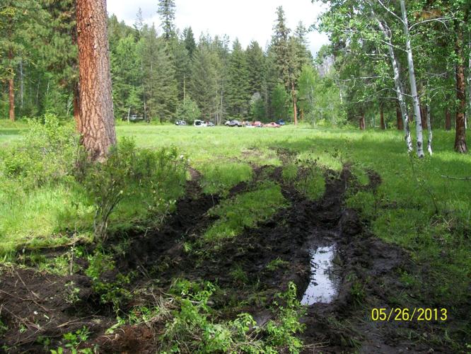 Mudding damages meadow near Winthrop Local News