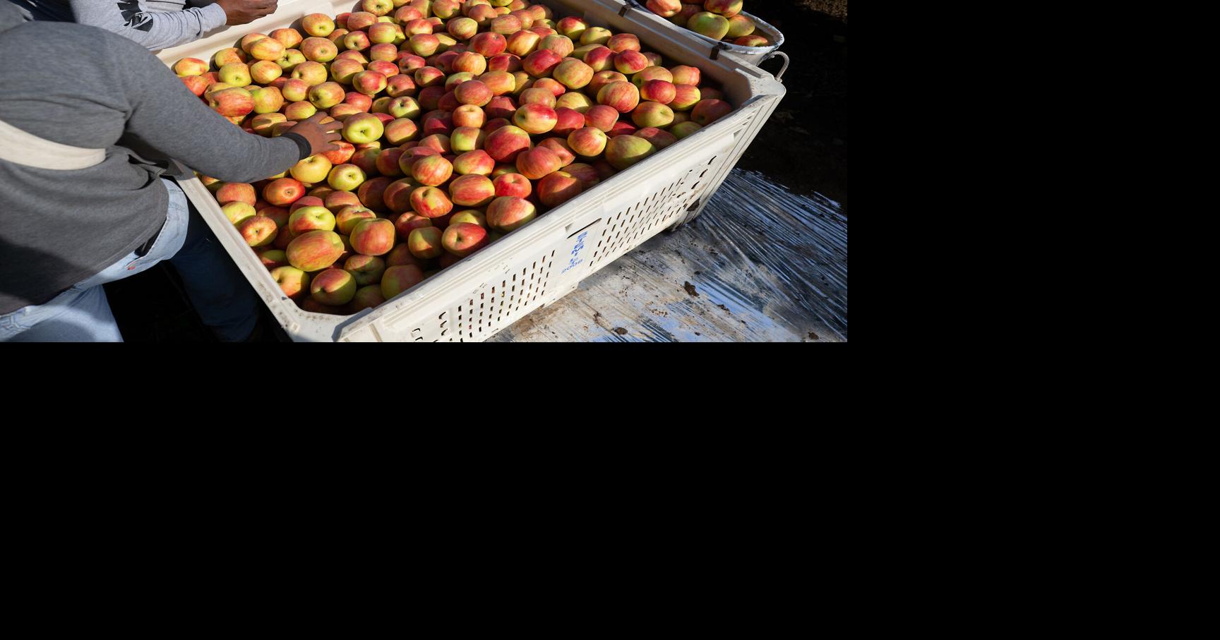 Washington State Fruit Commission to have public board meeting in ...