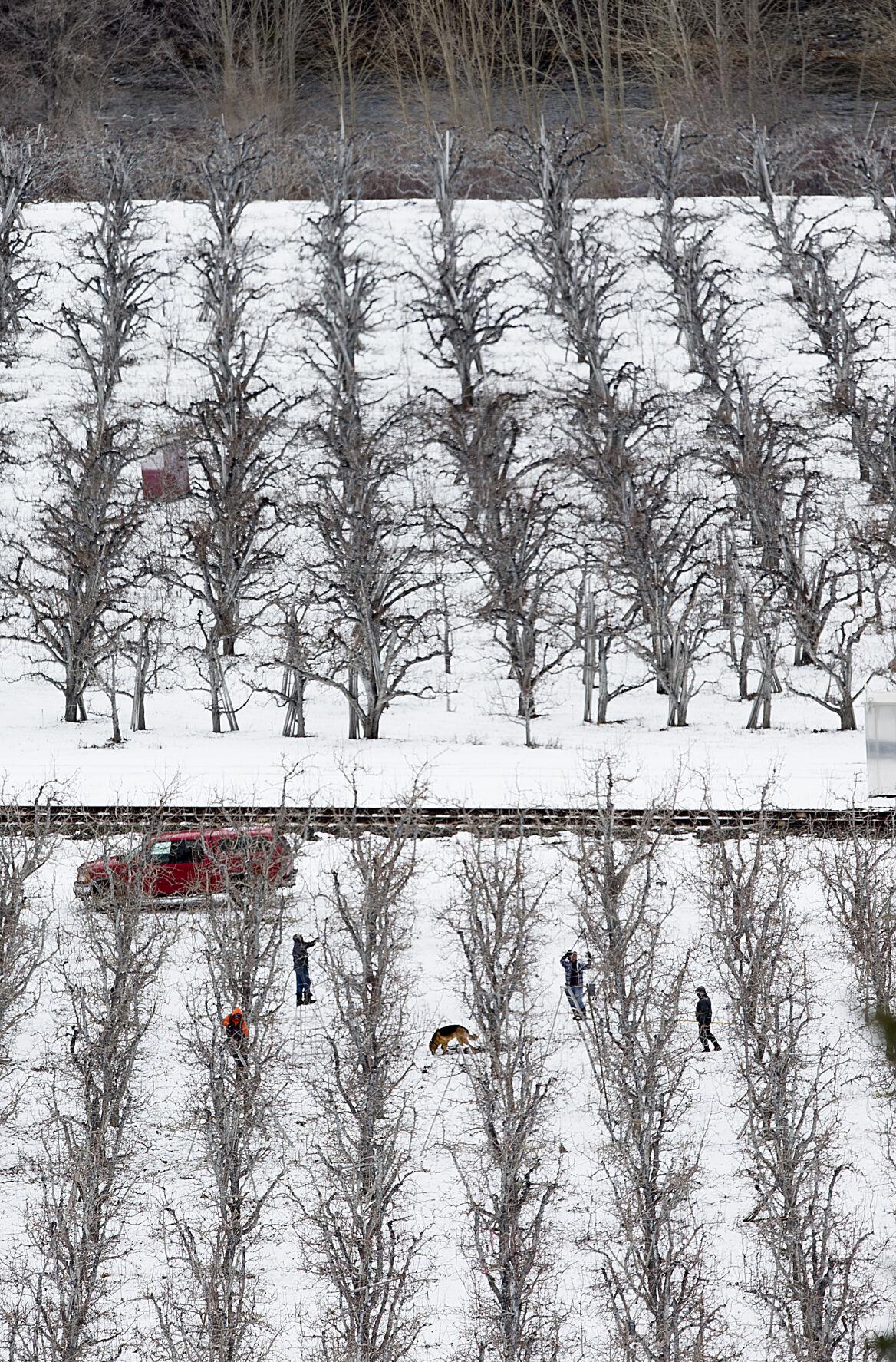 201230-newslocal-pruning 01.jpg