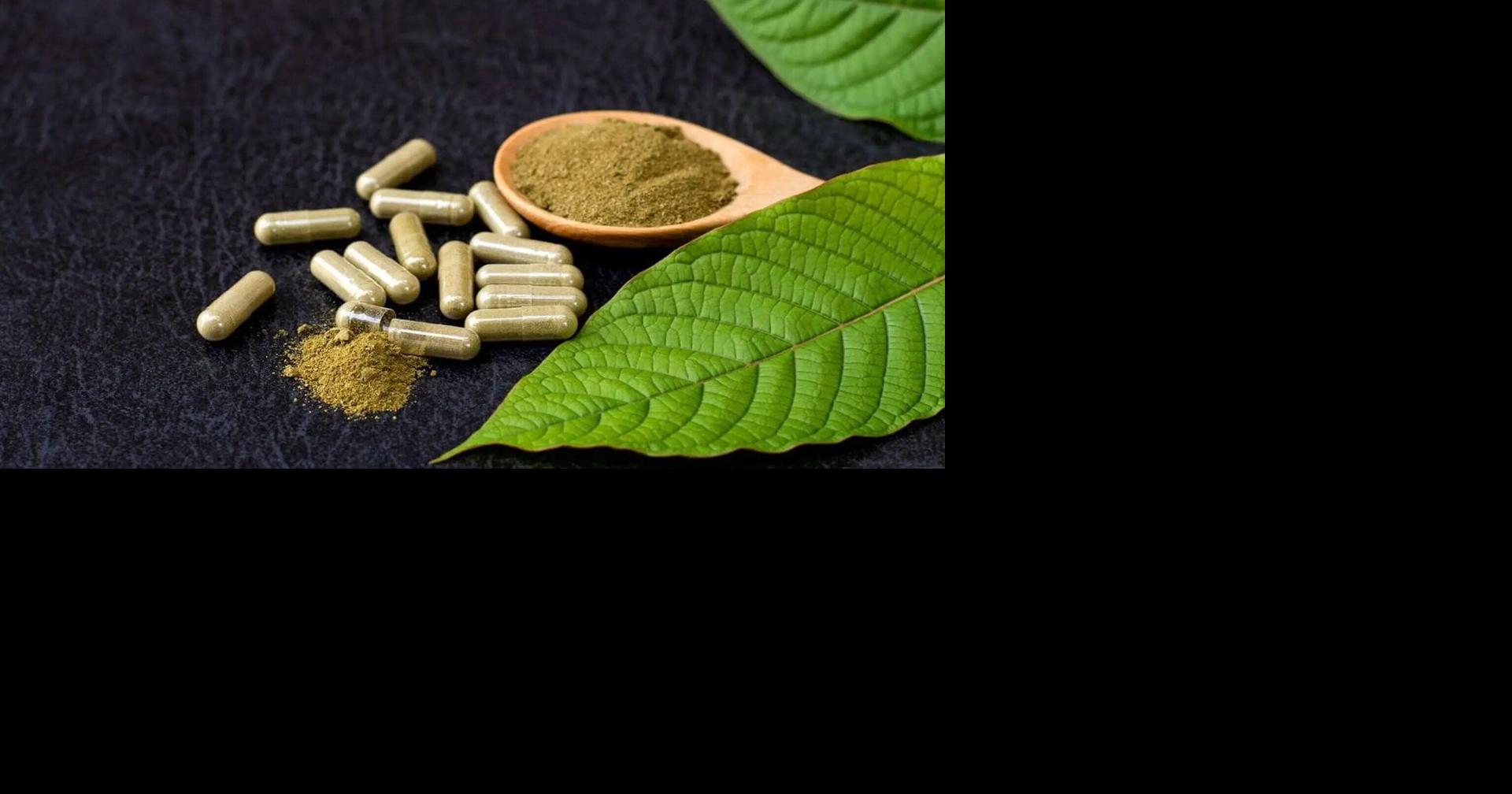 Quincy considers banning kratom sales amid health concerns