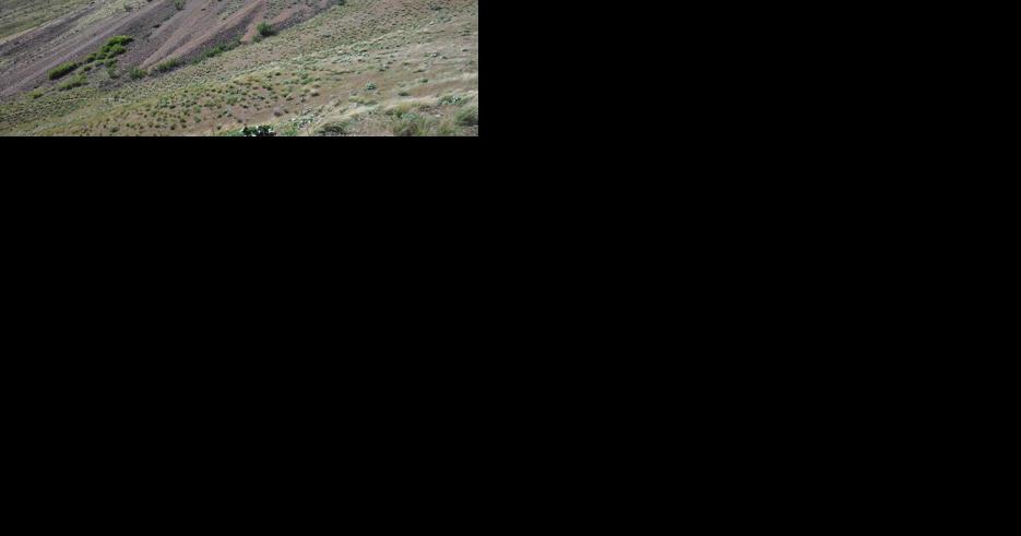 Chelan-Douglas Land Trust acquires more land for Castle Rock area hiking - Vimarsana News