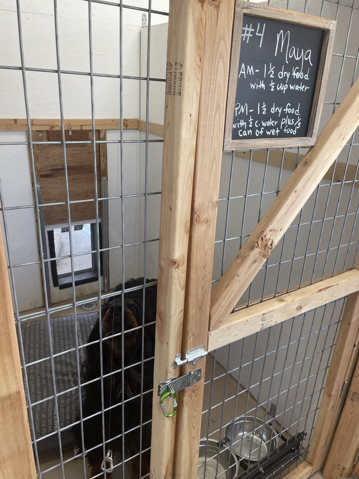 Waterville business gives dogs, owners a vacation Empire Press