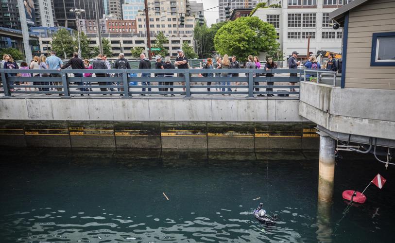 Salmon are swimming past downtown along Seattle's new 'highway' for ...