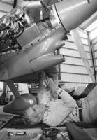 1982-1983: Mercury astronaut flies in; Julie Miller is grand marshal