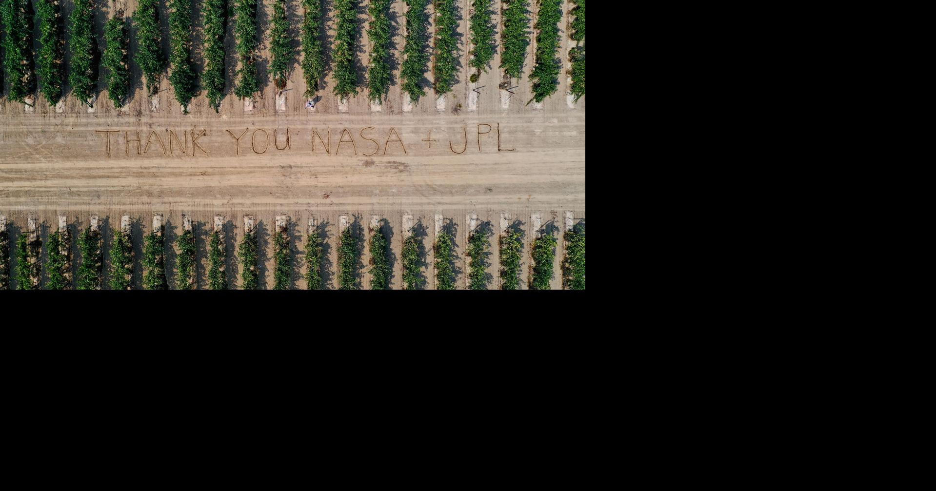 NASA technology can spot wine grape disease from the sky. The world's food supply could benefit