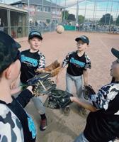 Fall youth baseball canceled due to pandemic