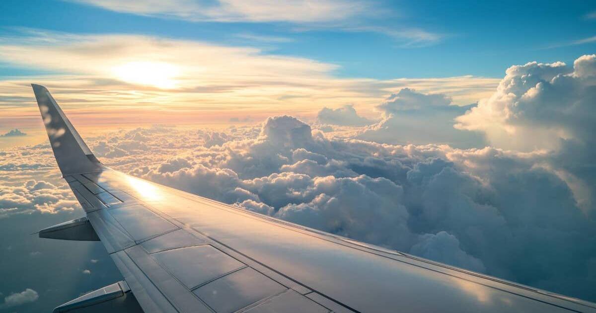 Airline shut down, loses license after accident kills 10 people