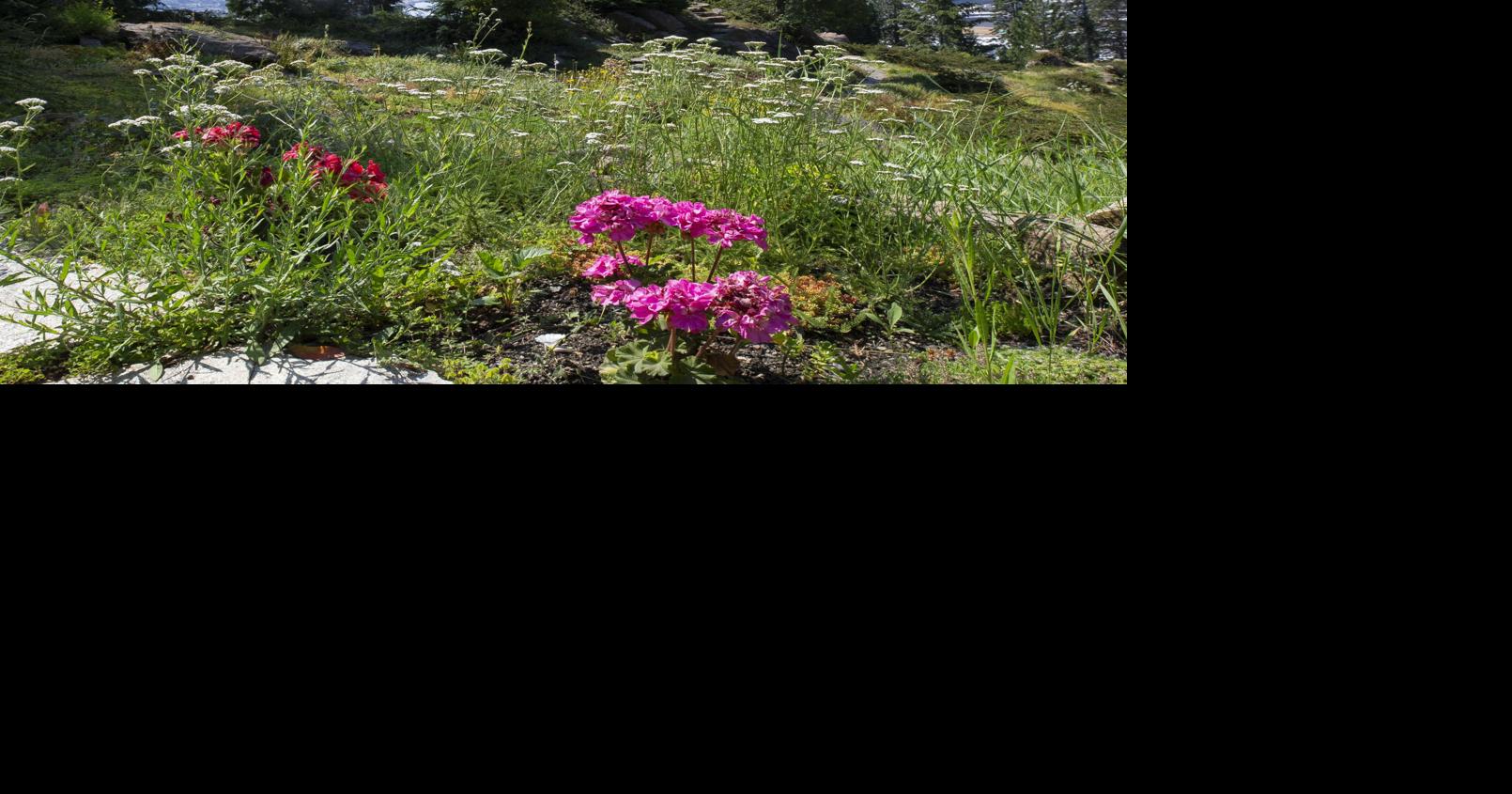 Silent auction to raise funds for Ohme Gardens