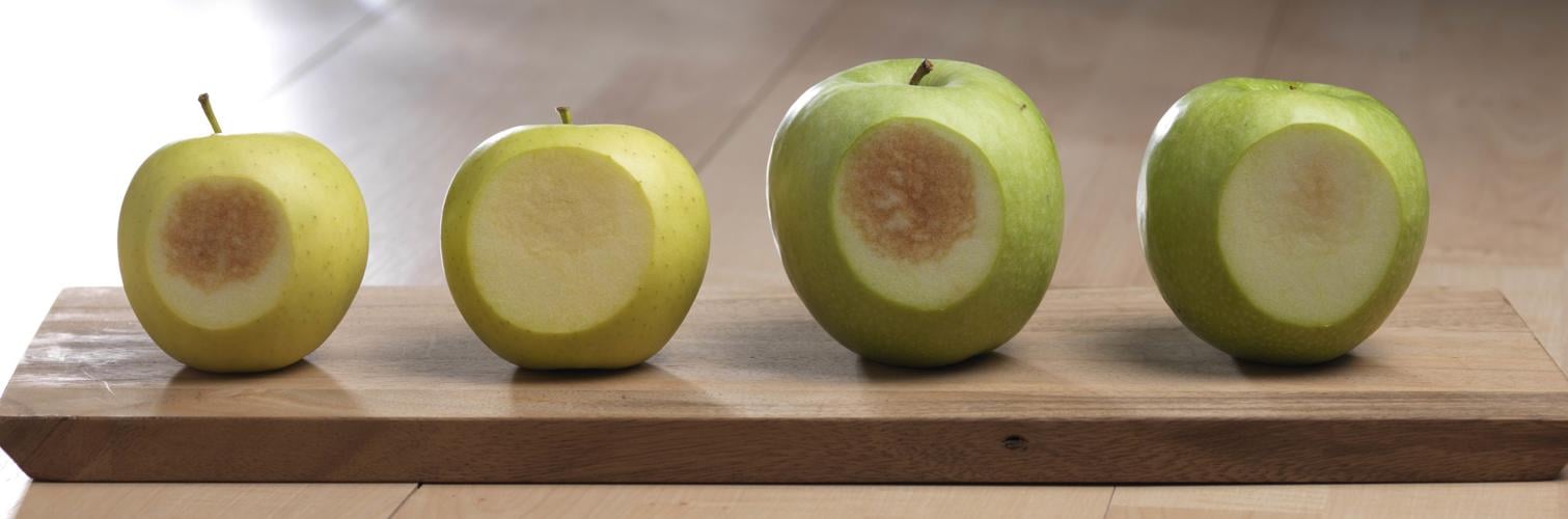 Apple seeks trademark of 'actual apple', Swiss fruit association says