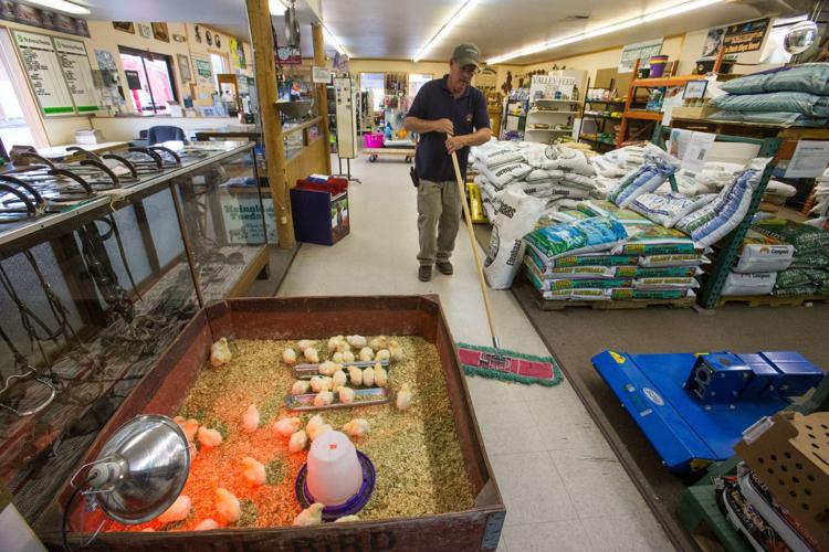 Valley Feed Living off the land The goto place for feeding
