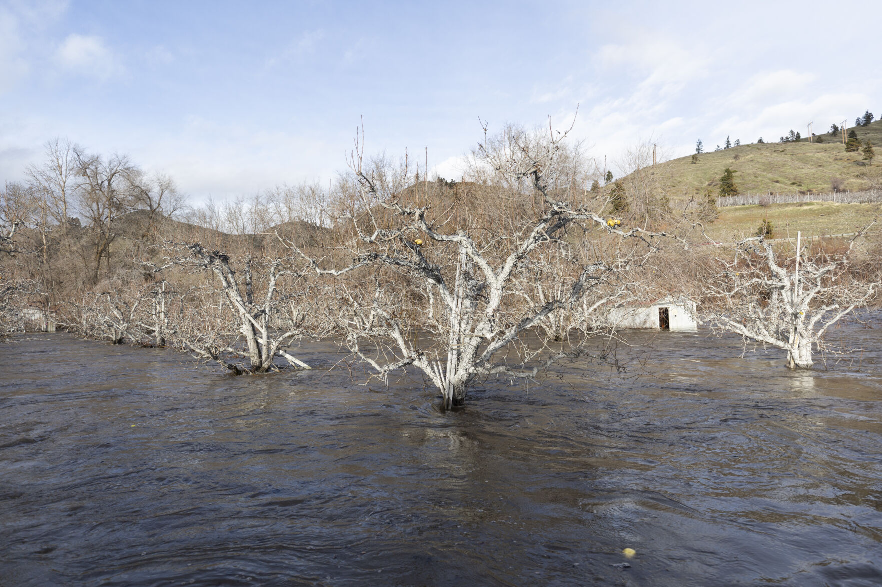 Atmospheric river brings floods, winds and near record-high ...