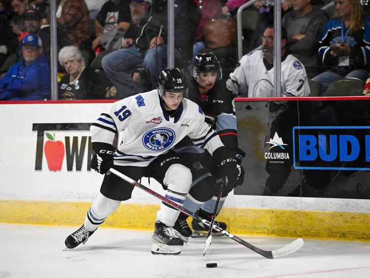 Wenatchee Wild release preseason, regular season schedules for 202425