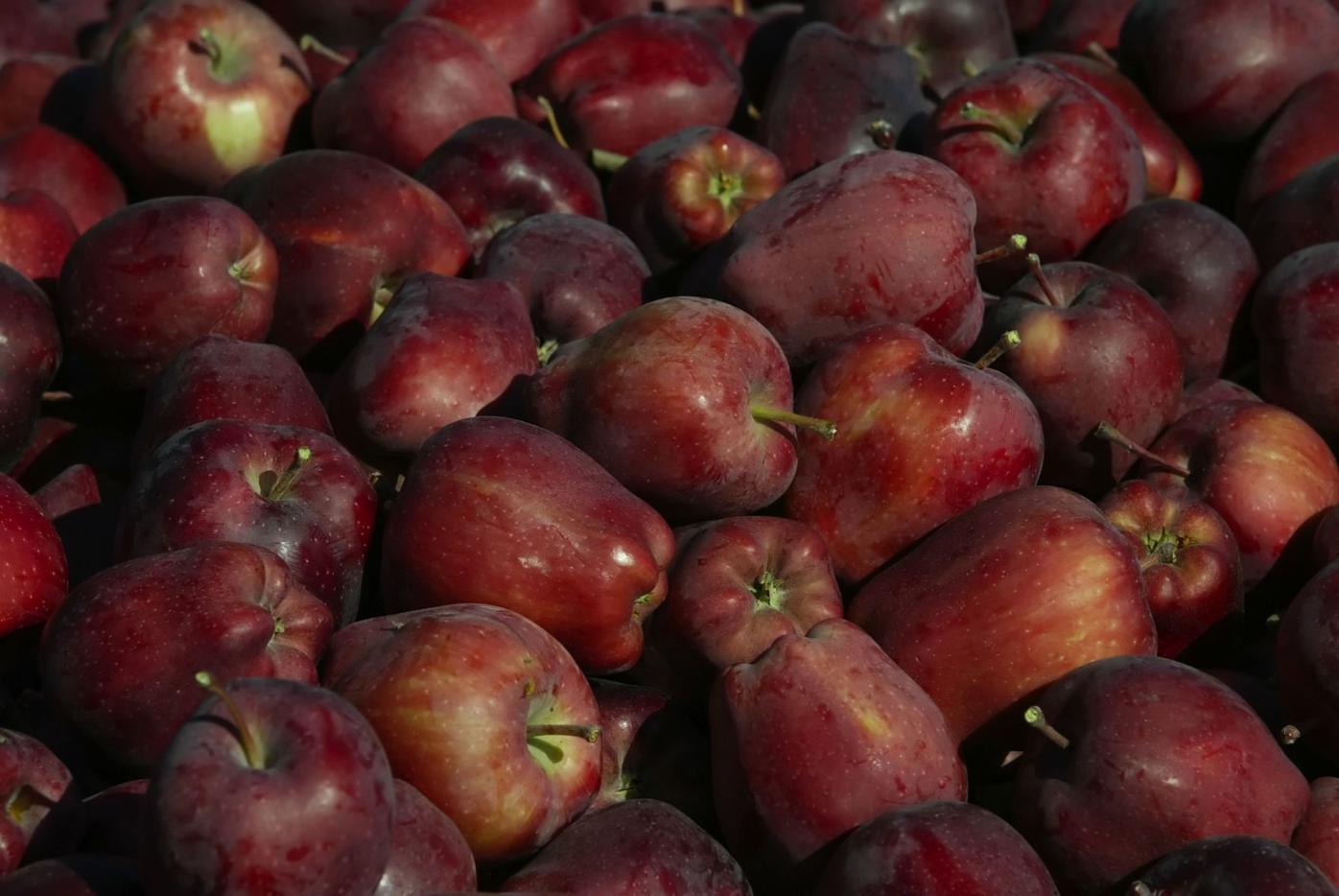 The Red Delicious Era is Over—THIS is America's New Favorite Apple