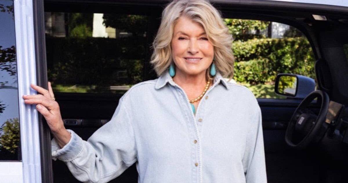 Martha Stewart’s Reversible 3-Piece Comforter Set Goes From ‘Elegant’ Vines to Bold Stripes in a Snap, Now 64% Off