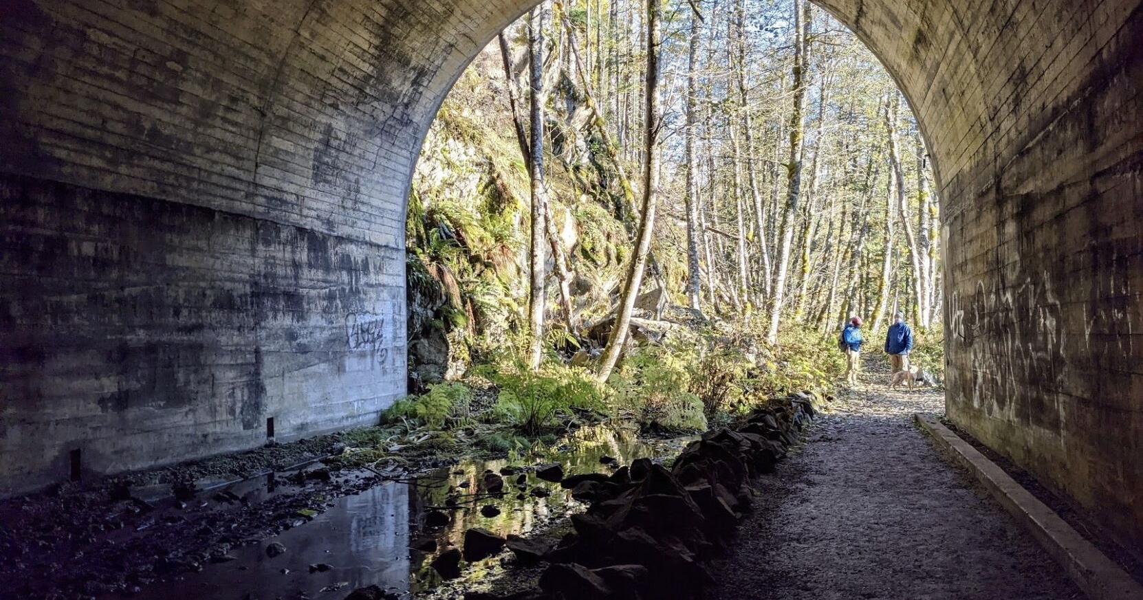 Iconic Iron Goat Trail: Tracing history along abandoned railroad tracks - Vimarsana News