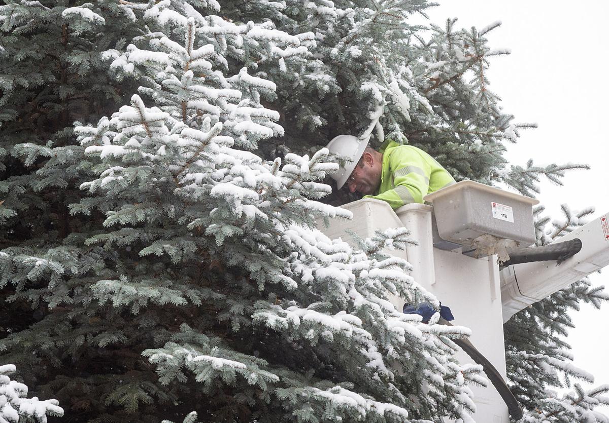 An early season's greeting — East Wenatchee's Christmas tree moved to