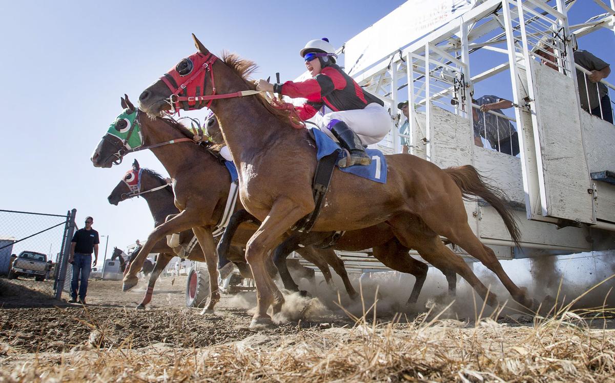 Photo gallery NCW Fair Saturday News