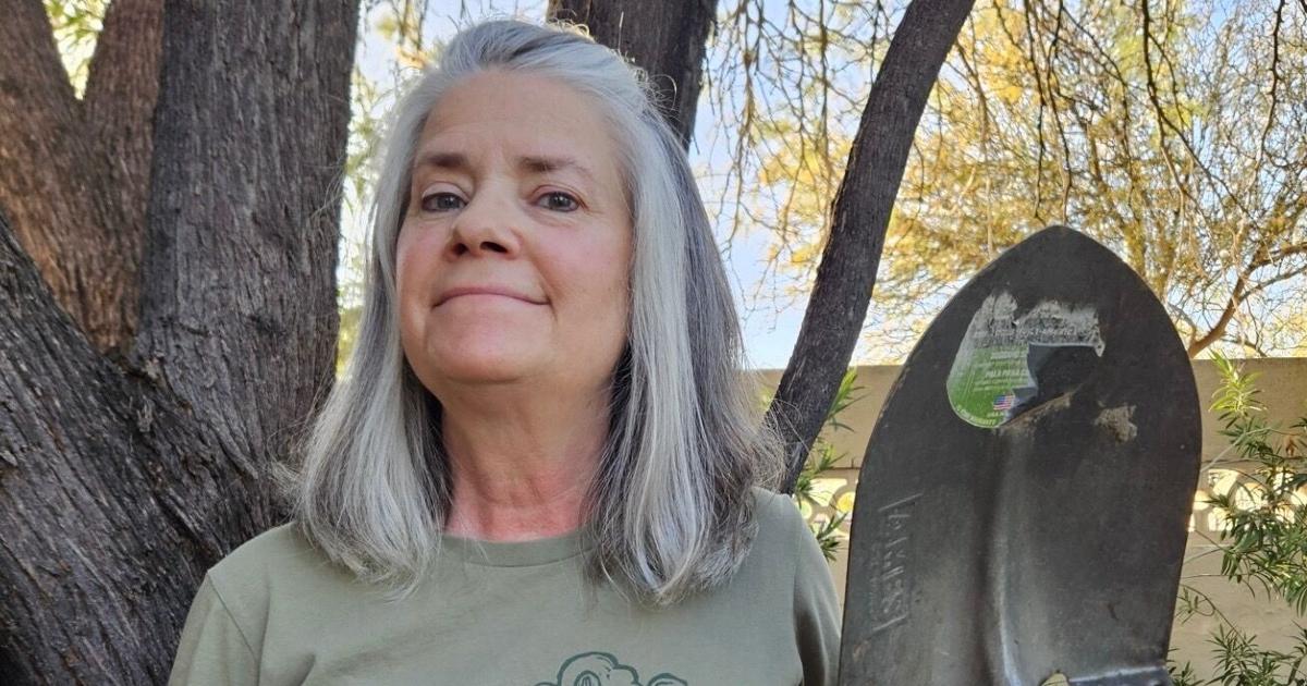 Planting one million trees to cool a desert city | Opinion ...