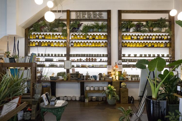 Salt Creek Apothecary creates herbal medicines with local touch Business