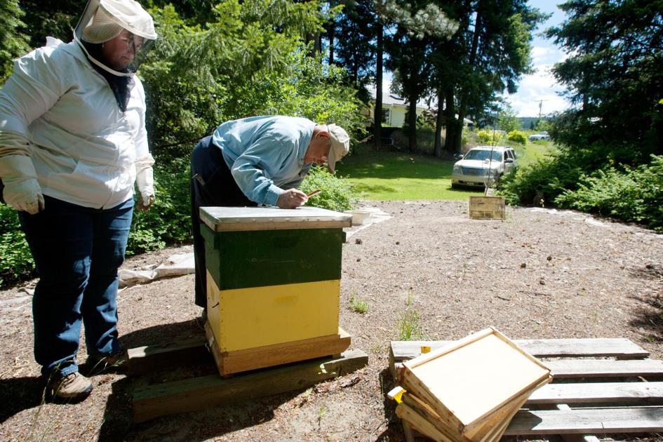 Group Wants Wenatchee To Allow Backyard Beekeeping Local News