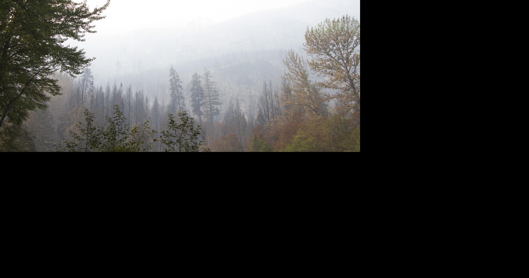 Chelan County drafts letter to Congress members, calling for 'massive investment' in fighting wildfires