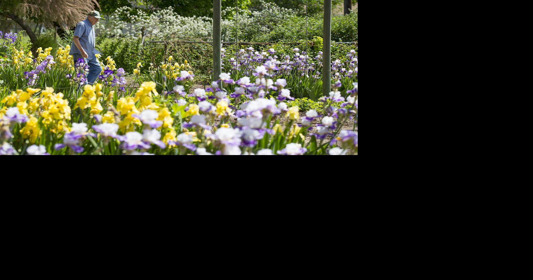 Photos From orchardist to florist Local News