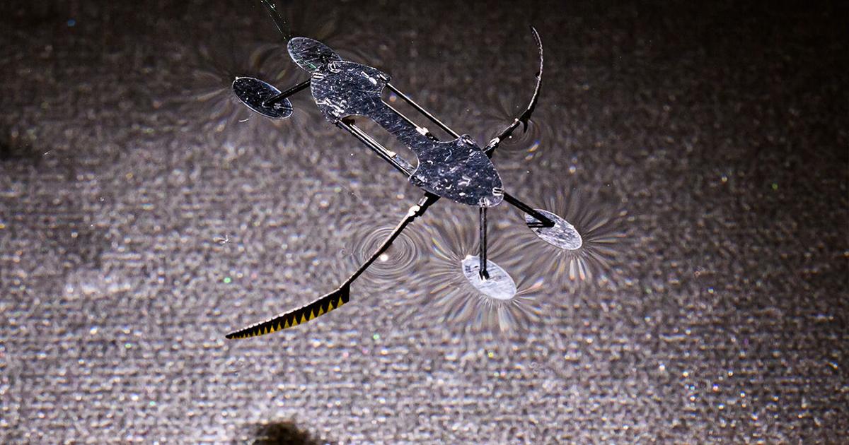 WSU mini-robots mimic insects to get stronger, faster: 'They can do ...