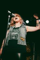 Cobra Hawk, The Knockdowns rock Apple Blossom's late sets