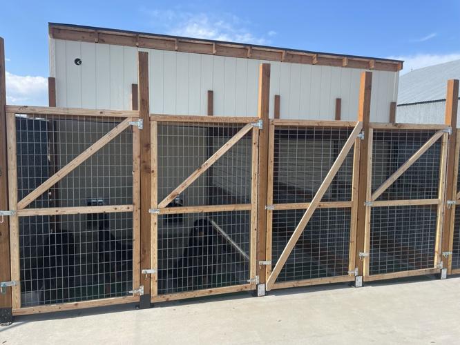 Luxury stays at Twin Bins Kennel Waterville business gives dogs