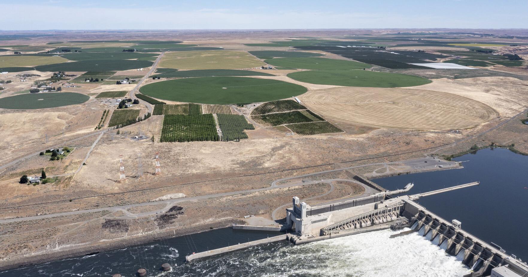 White House ceremony launches $1 billion Snake River dams, salmon settlement - Vimarsana News