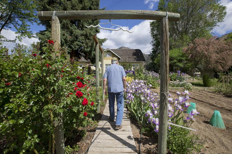 Photos From orchardist to florist Local News