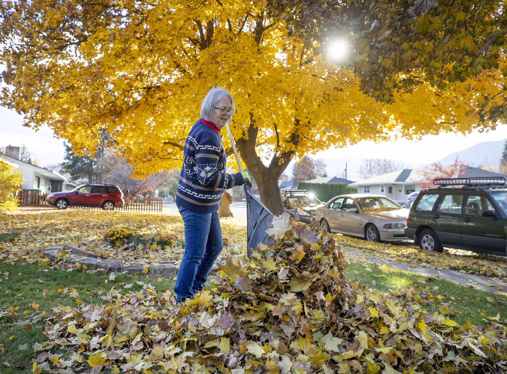 Photo She's only just begun Local News