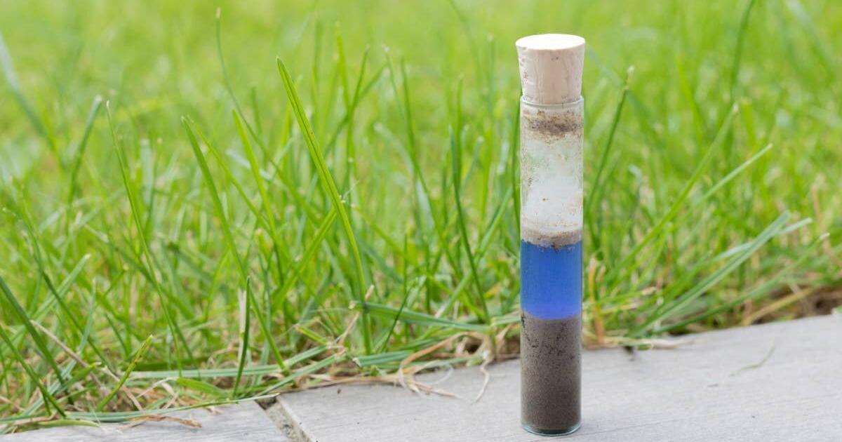Your Soil Could Be Sabotaging Your Lawn—Here’s How to Find Out