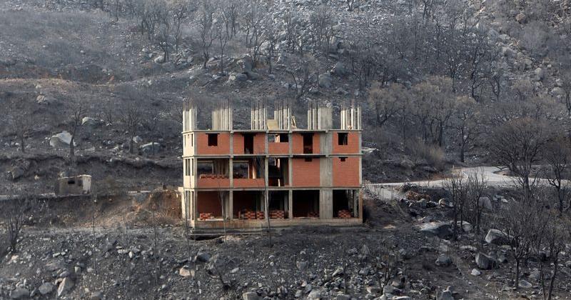 Wildfires bring death and destruction to sun-scorched Mediterranean - Vimarsana News