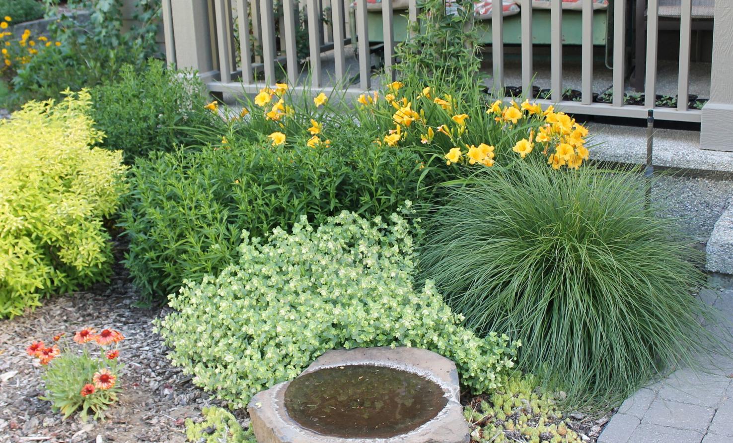 In the Garden Microclimates provide additional growing opportunities