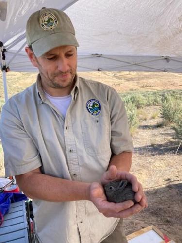 Washington Department of Fish and Wildlife seeks public input on pygmy ...