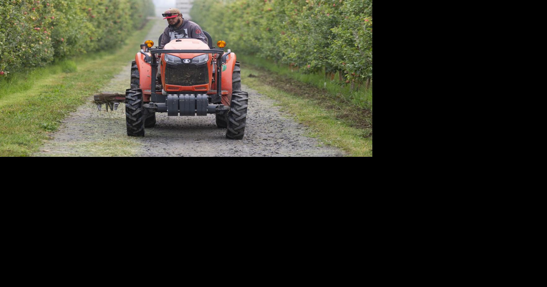 Farmworker's nightmare scam experience underscores dangers immigrants in US face seeking legal help