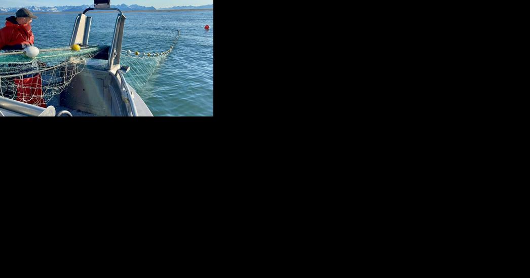 Sena and Rich Wheeler: Building an Alaskan fish company in Wenatchee - Vimarsana News